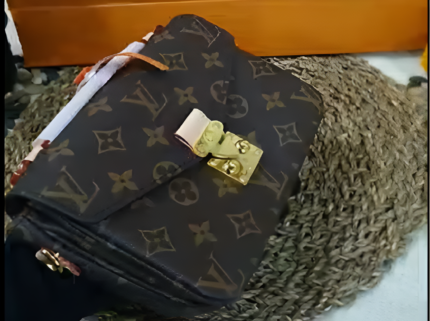 Louis Vuitton Bag#74